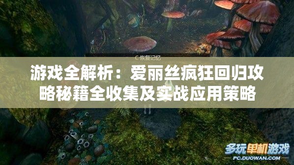 游戏全解析：爱丽丝疯狂回归攻略秘籍全收集及实战应用策略