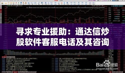 寻求专业援助：通达信炒股软件客服电话及其咨询服务详解