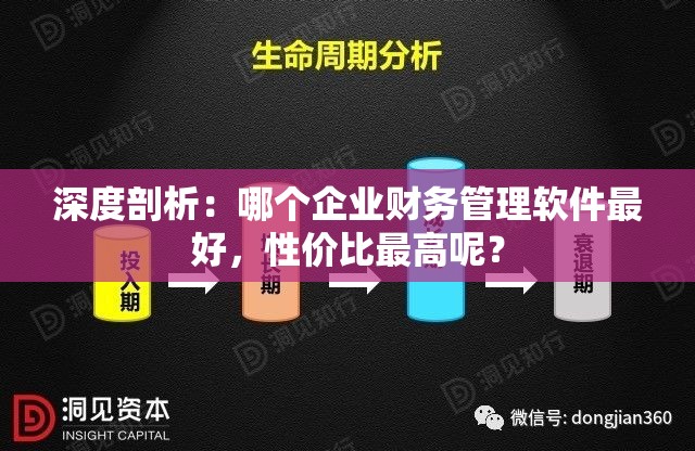 深度剖析：哪个企业财务管理软件最好，性价比最高呢？