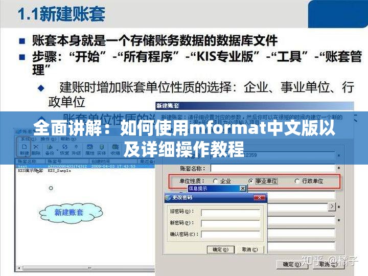 全面讲解：如何使用mformat中文版以及详细操作教程