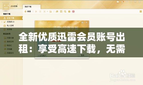 全新优质迅雷会员账号出租：享受高速下载，无需等待