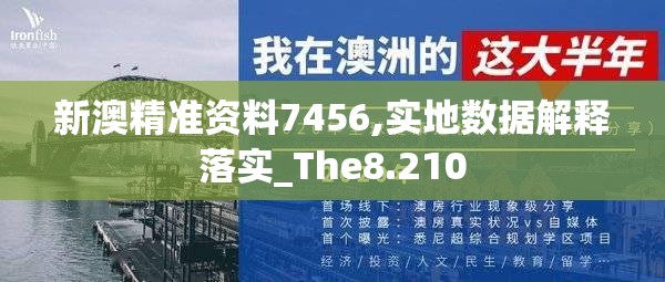 新澳精准资料7456,实地数据解释落实_The8.210