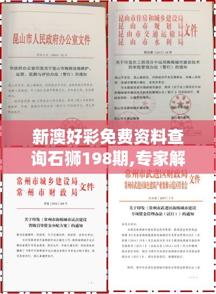 二四六香港资料期期准千附三险阻7456,探索新兴趋势与生活智慧_标准版ISHOP.4.462