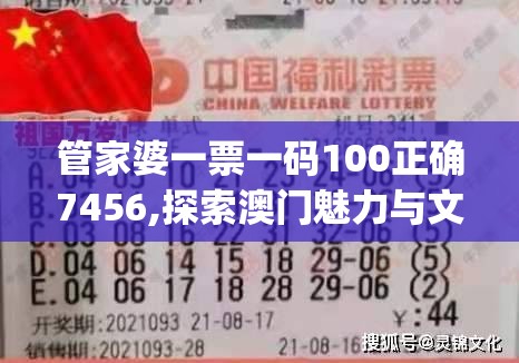 管家婆一票一码100正确7456,探索澳门魅力与文化风情_可选版.2.449