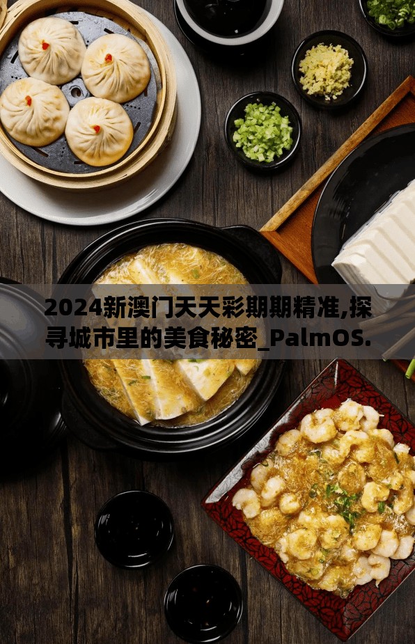 2024新澳门天天彩期期精准,探寻城市里的美食秘密_PalmOS.8.927