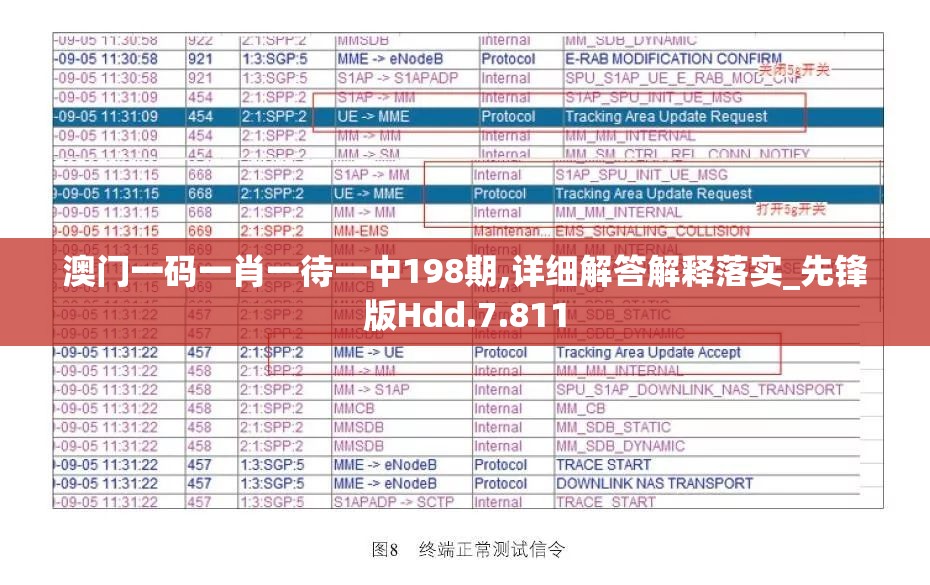 一站式全攻略：龙之剑圣的成长历程、战斗策略及装备选择详细解读