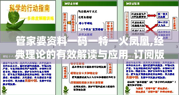 (经典复古单职业传奇)复古魅力再现，深度解析复古单职业版游戏特色与未来发展