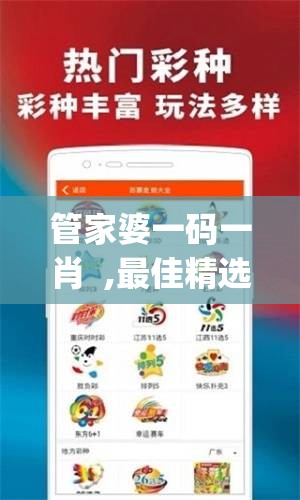 管家婆一码一肖  ,最佳精选解释落实_app.9.613