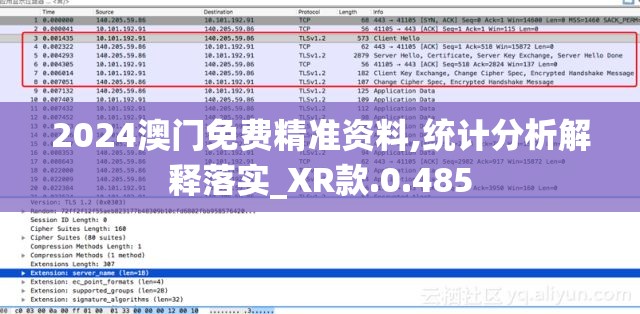 2024澳门免费精准资料,统计分析解释落实_XR款.0.485