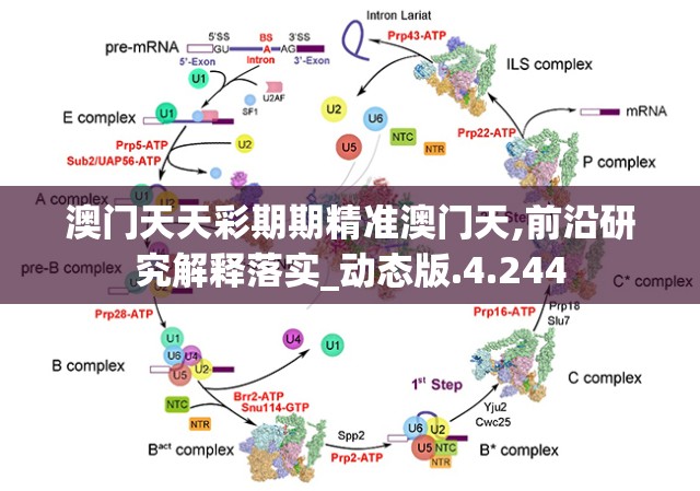 凡人修仙传单机版修改器：畅玩修仙之旅，解锁无限潜能与技能进阶攻略