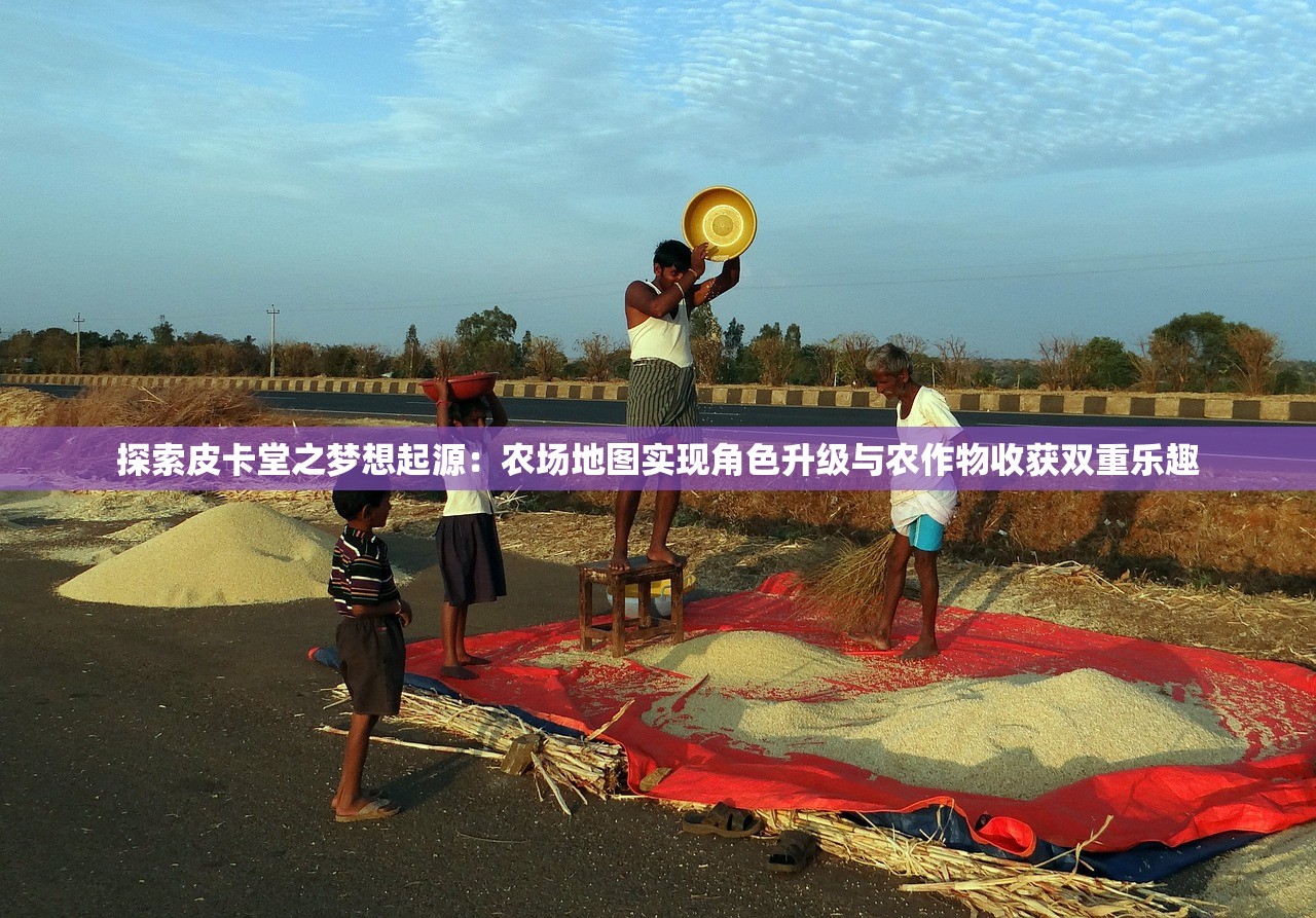 探索皮卡堂之梦想起源：农场地图实现角色升级与农作物收获双重乐趣