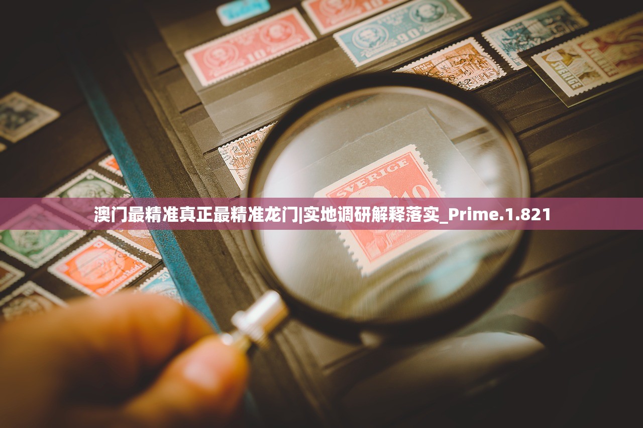 澳门最精准真正最精准龙门|实地调研解释落实_Prime.1.821