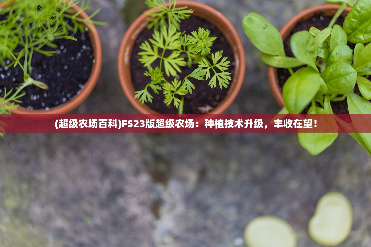 (超级农场百科)FS23版超级农场：种植技术升级，丰收在望！