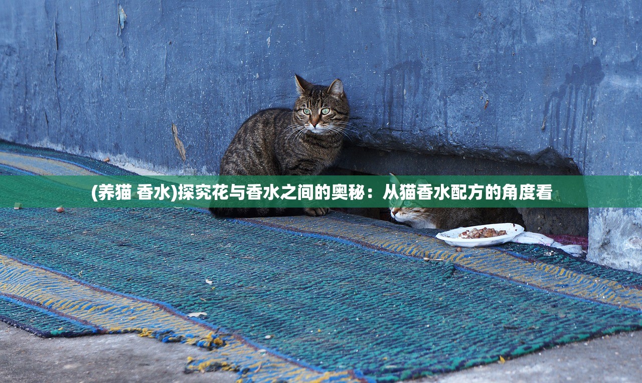 (养猫 香水)探究花与香水之间的奥秘：从猫香水配方的角度看