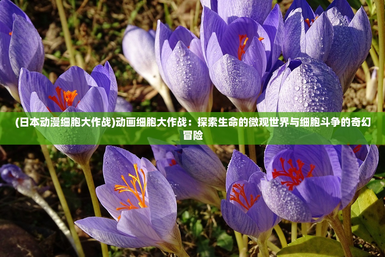 (日本动漫细胞大作战)动画细胞大作战：探索生命的微观世界与细胞斗争的奇幻冒险