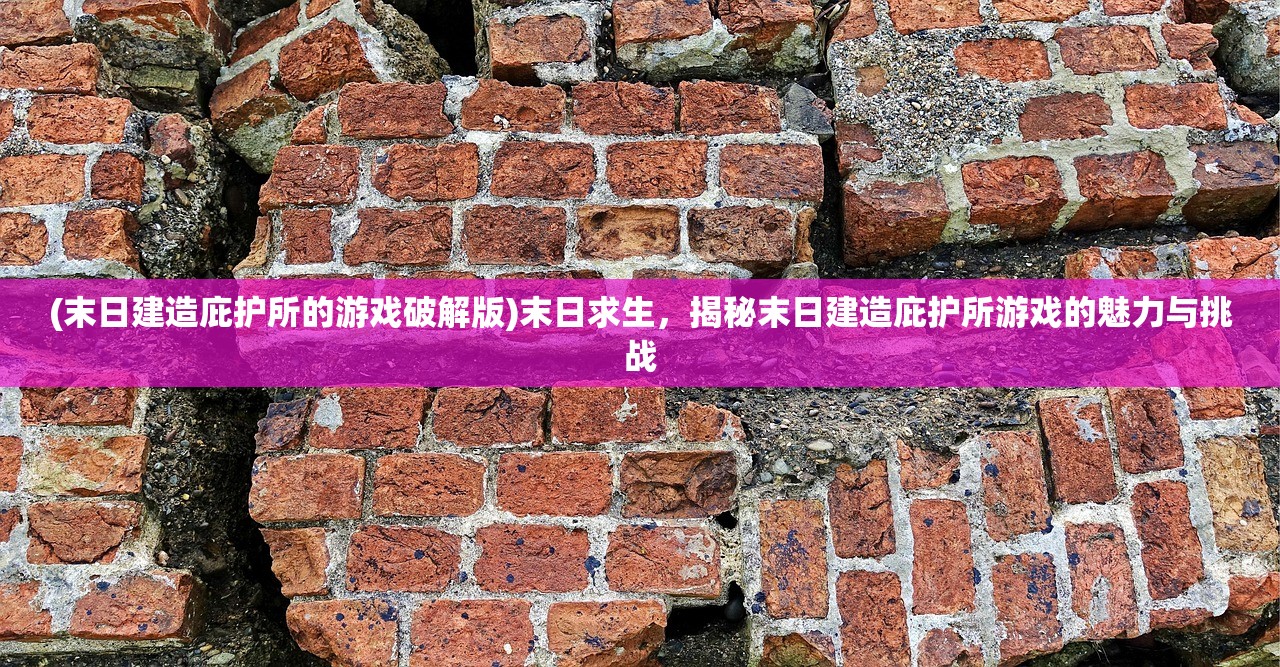 (末日建造庇护所的游戏破解版)末日求生，揭秘末日建造庇护所游戏的魅力与挑战