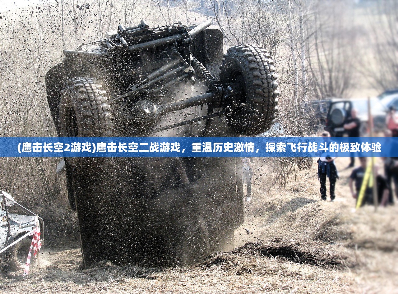 (鹰击长空2游戏)鹰击长空二战游戏，重温历史激情，探索飞行战斗的极致体验