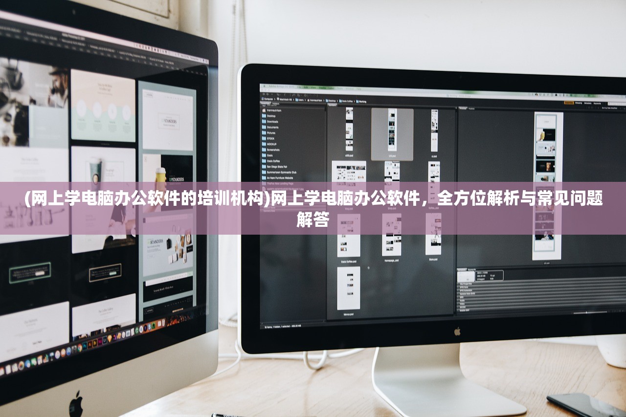 (第二书包辣荷叶)第二书包，新时代学生多元学习体验的探索与挑战