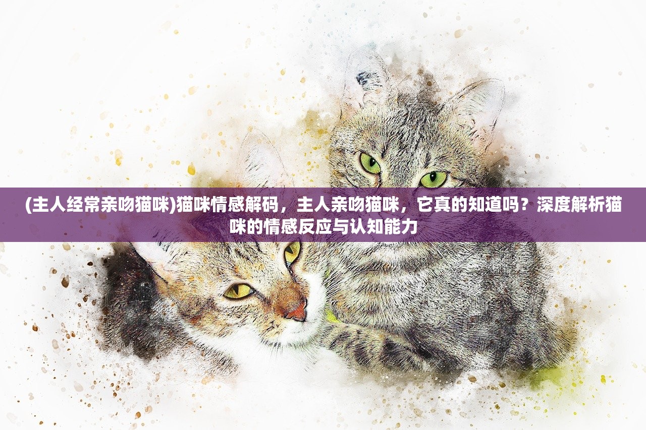 (主人经常亲吻猫咪)猫咪情感解码，主人亲吻猫咪，它真的知道吗？深度解析猫咪的情感反应与认知能力