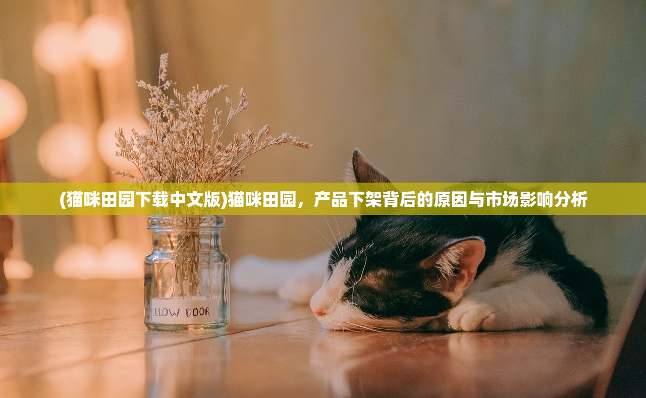 (猫咪的永久地域网名是什么)新版猫社区官方全新上线，探索猫咪爱好者的互动新天地