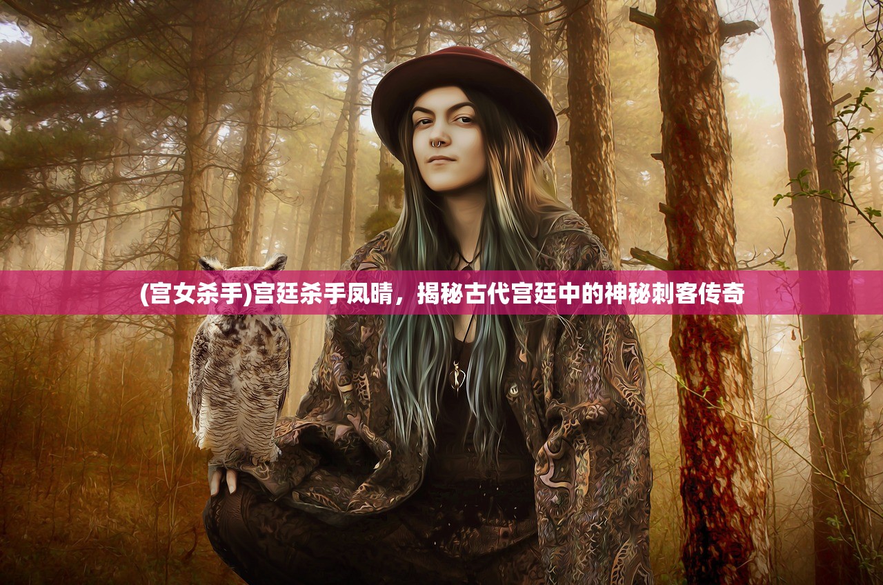 (宫女杀手)宫廷杀手凤晴，揭秘古代宫廷中的神秘刺客传奇