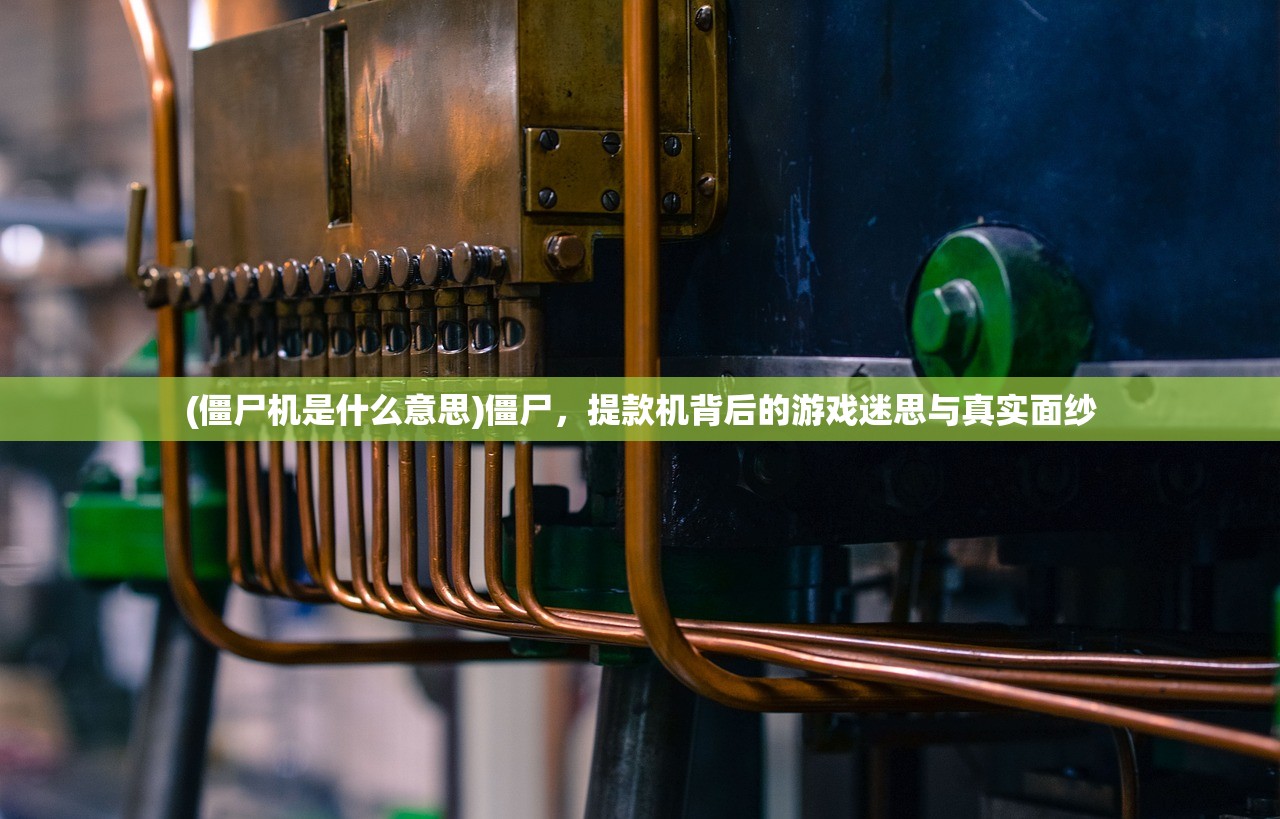 (不良人三季真人版)不良人3季真人版，穿越时空的华丽蜕变，揭秘剧集布局与观众期待