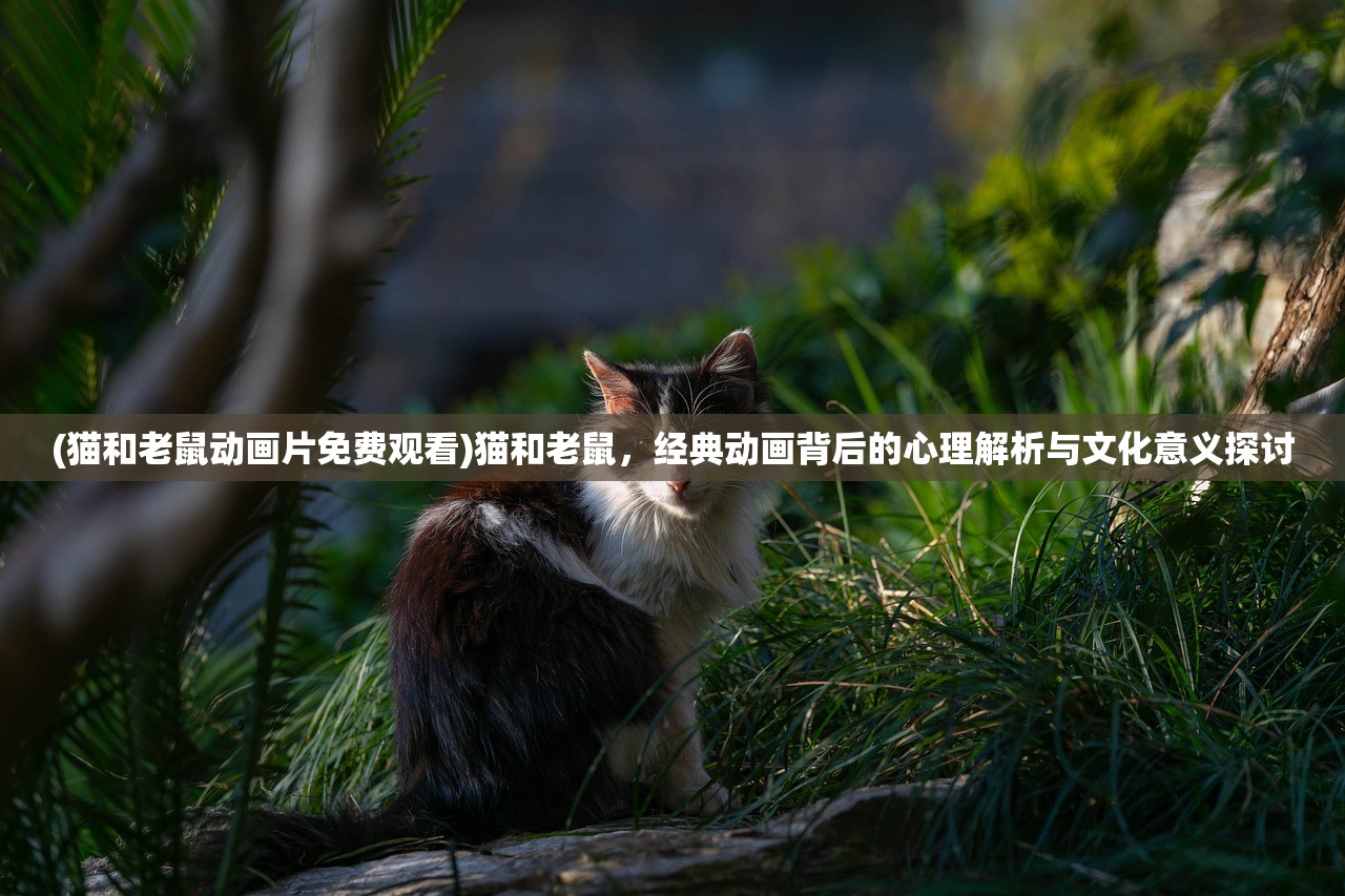 (猫和老鼠动画片免费观看)猫和老鼠，经典动画背后的心理解析与文化意义探讨