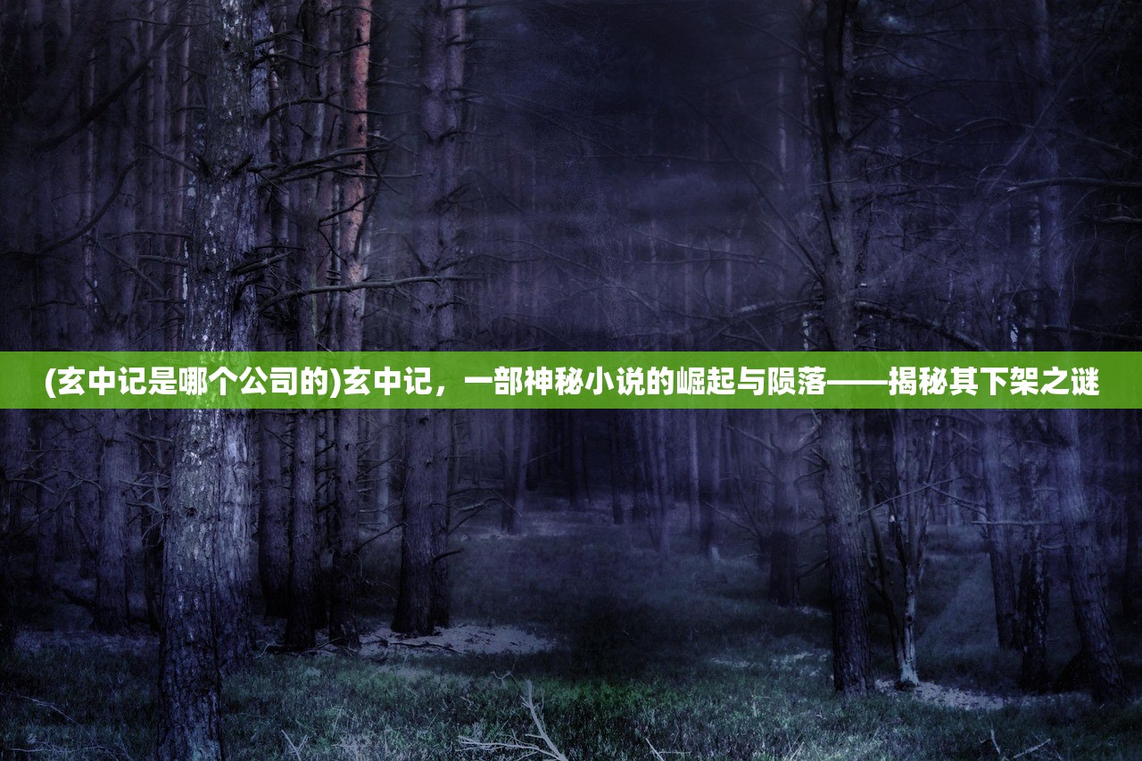 (玄中记是哪个公司的)玄中记，一部神秘小说的崛起与陨落——揭秘其下架之谜