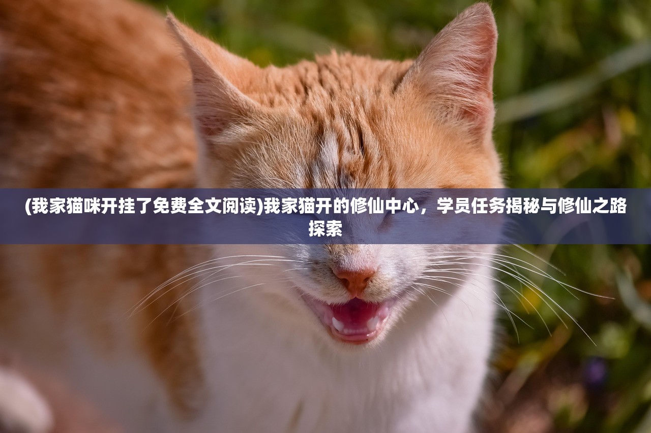 (我家猫咪开挂了免费全文阅读)我家猫开的修仙中心，学员任务揭秘与修仙之路探索