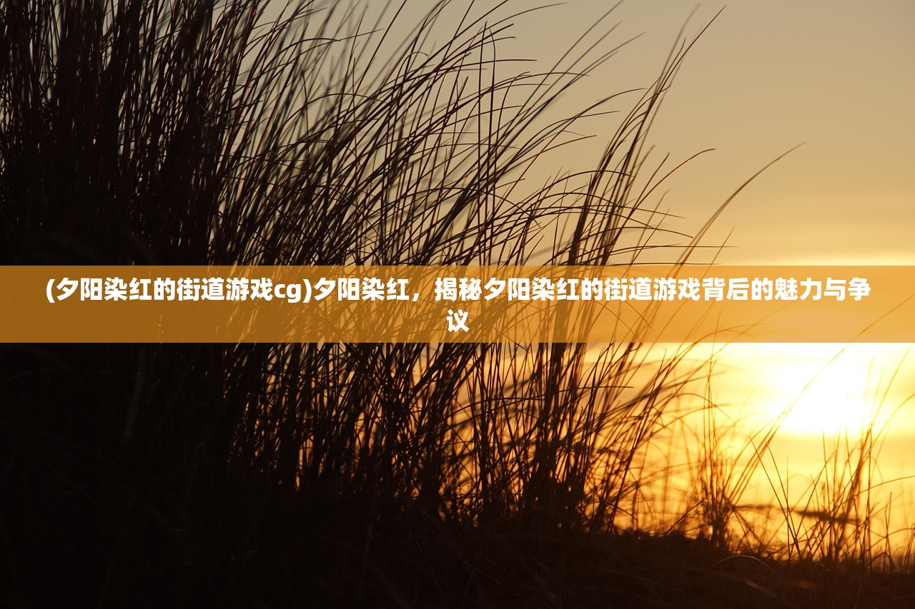 (夕阳染红的街道游戏cg)夕阳染红，揭秘夕阳染红的街道游戏背后的魅力与争议