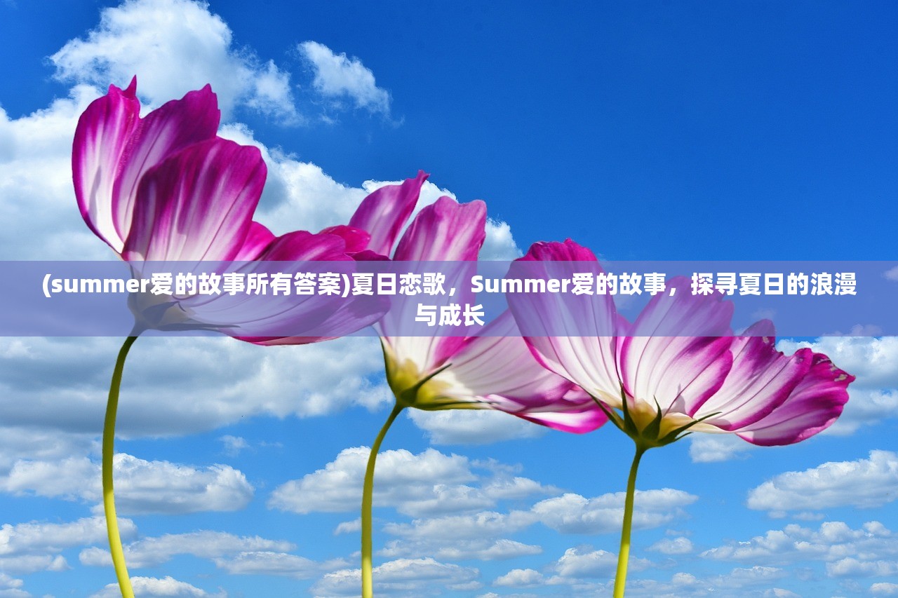 (summer爱的故事所有答案)夏日恋歌，Summer爱的故事，探寻夏日的浪漫与成长