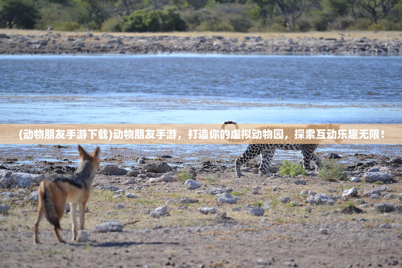 (动物朋友手游下载)动物朋友手游，打造你的虚拟动物园，探索互动乐趣无限！