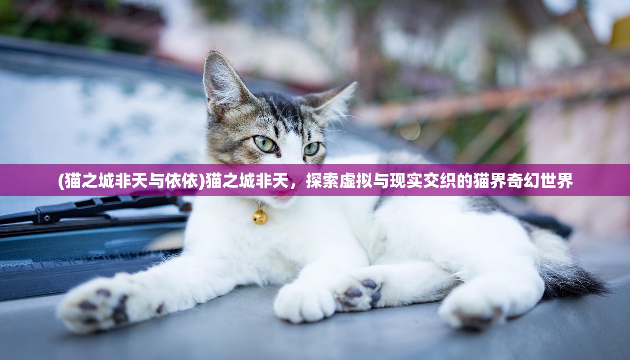 (猫之城非天与依依)猫之城非天，探索虚拟与现实交织的猫界奇幻世界