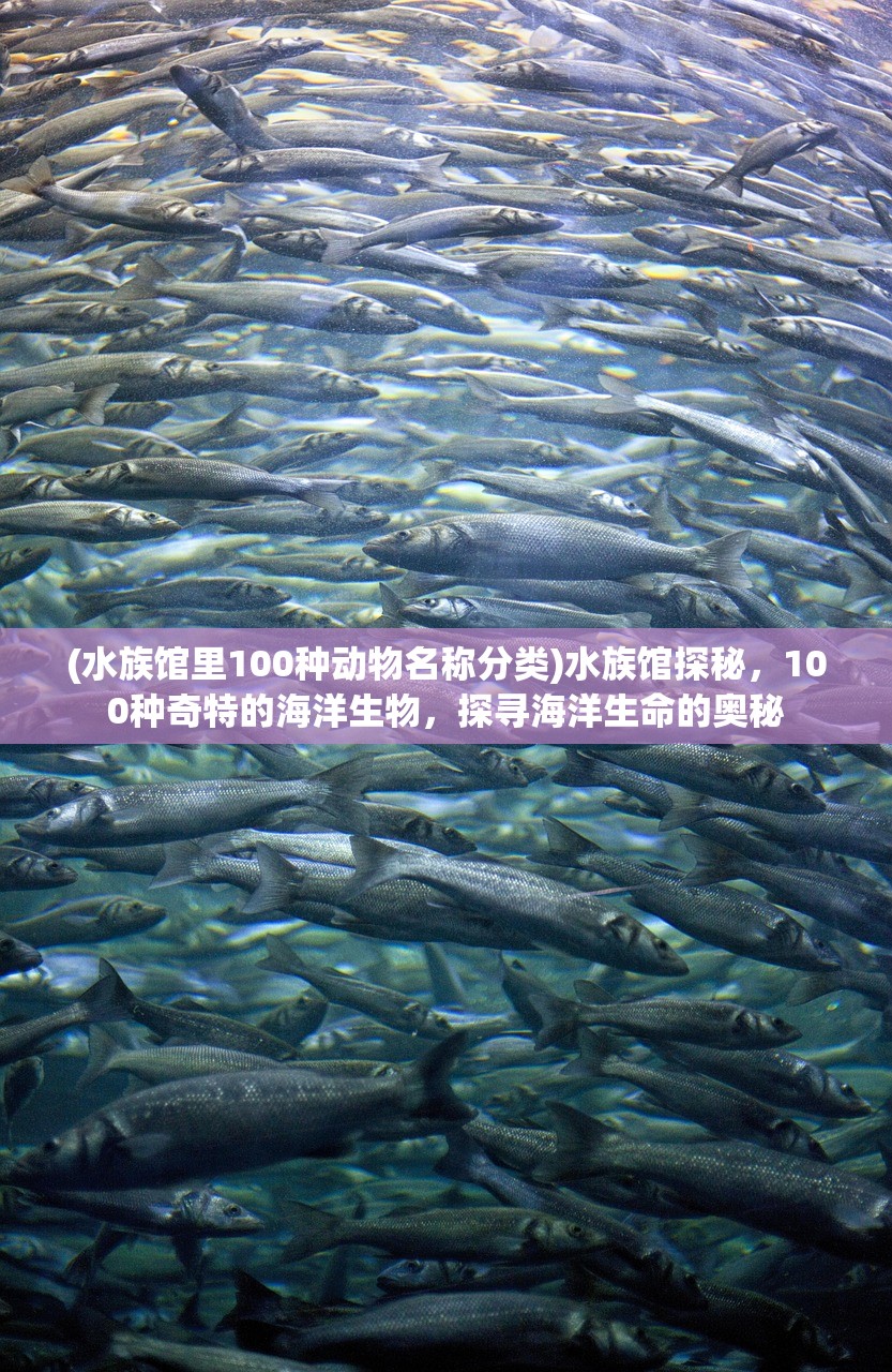 (水族馆里100种动物名称分类)水族馆探秘，100种奇特的海洋生物，探寻海洋生命的奥秘