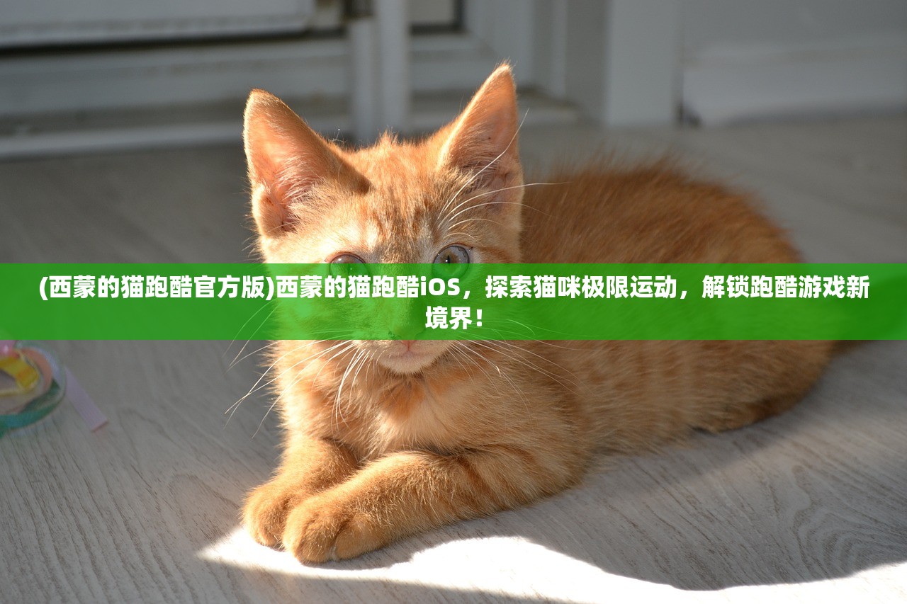 (西蒙的猫跑酷官方版)西蒙的猫跑酷iOS，探索猫咪极限运动，解锁跑酷游戏新境界！