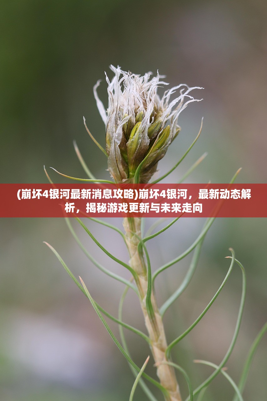 (崩坏4银河最新消息攻略)崩坏4银河，最新动态解析，揭秘游戏更新与未来走向